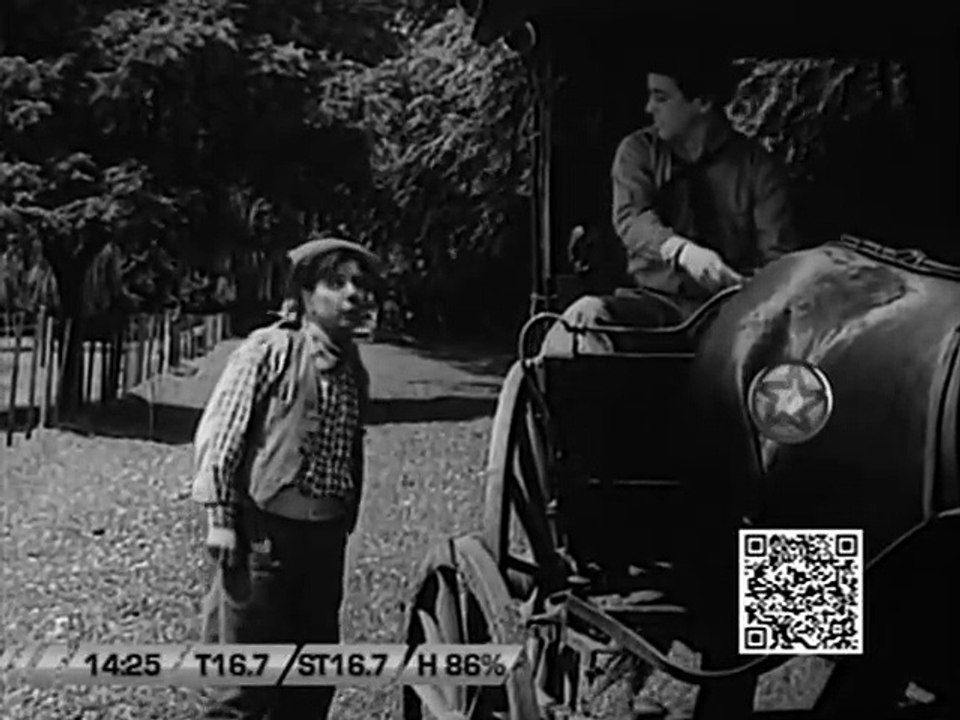 Joven, viuda y estanciera (Luis Bayón Herrera,...