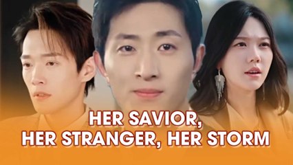 Her Savior, Her Stranger, Her Storm