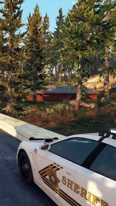 Cop Car Hits Bridge, Flips During Pursuit (GTA 5 LSPDFR)
