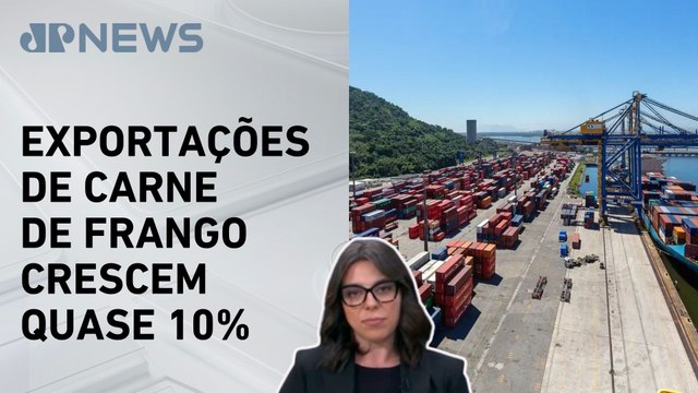 Mariana Grilli: Exportações brasileiras crescem 9,5% no 1º trimestre do ano