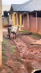 What's happening here