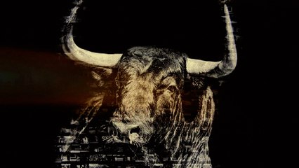 Youtube vuelve contra los toros: censura el spot de la Feria de San Isidro por "contenido violento"
