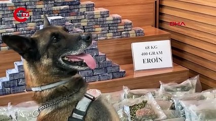 TIR dorsesinde ele geçirildi: Tam 101 kilo... 4 kişi gözaltında!