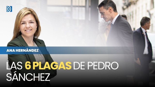 Las 6 plagas de Pedro Sánchez: del volcán a las chinches