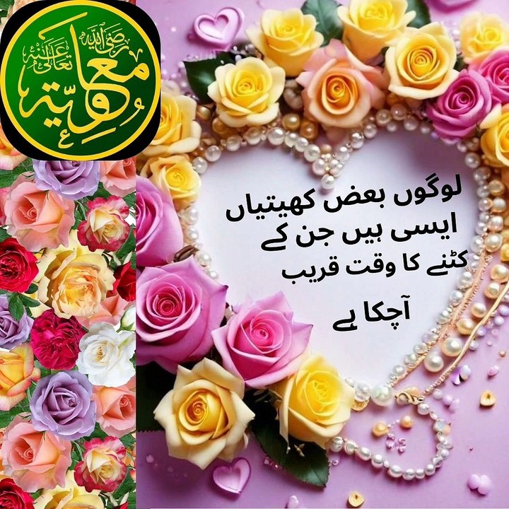 Motivational quotes
