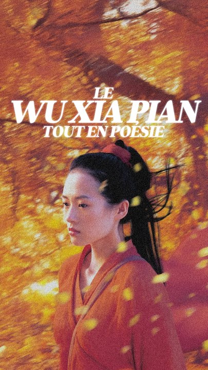 Hero : Le Wu Xia Pian contemplatif