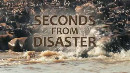 Seconds From Disaster - Full Animals Documentary