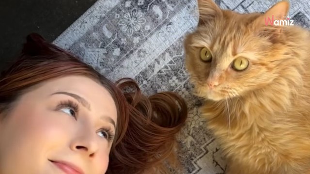 Elle recueille un chaton de 3 jours : quelques mois plus tard elle apprend la pire nouvelle (vidéo)