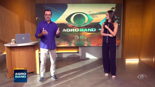 Brasil é líder nas exportações globais de frango