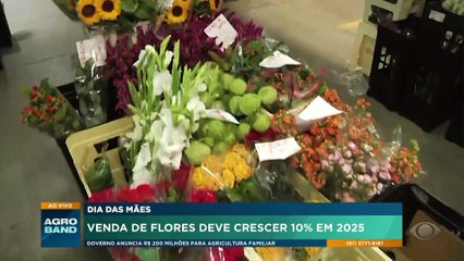 Dia das Mães: venda de flores deve crescer 10% em 2025
