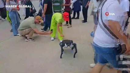 Yerli savunma sanayi firmasından robotik köpek atılımı: "AyBARS"