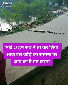 b2003e73-635f-4871-b6a2-1609ea11739a