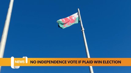 Plaid Cymru leader rules out independence vote in first term if elected