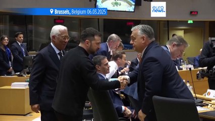 Ukraine Uncovers Suspected Hungarian Military Spy Network 🕵️‍♂️