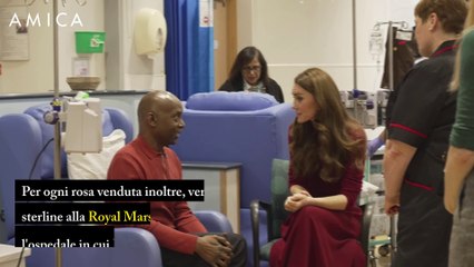 Una rosa dedicata alla principessa Kate: ecco la "Catherine"