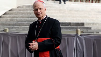 Pope Leo Watched Conclave and Played Wordle Before Being Elected Pontiff, Reveals Brother