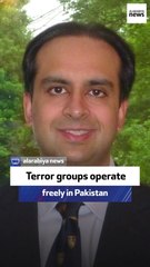 Analyst: Terror groups operate freely in Pakistan