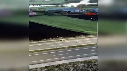 TOKİ konutlarında ayı paniği: Önce köpeklerle kavga etti ardından halı sahaya girdi