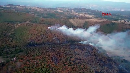 Kocaeli'de orman ve makilik alanlara giriş yasaklandı