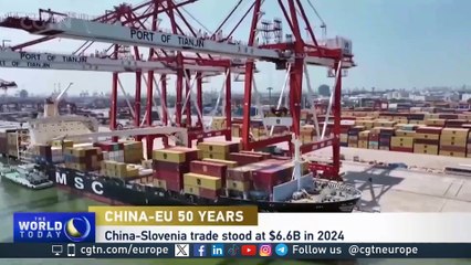 China-EU 50 years: "We would like to be one of possible locations for Chinese producers"