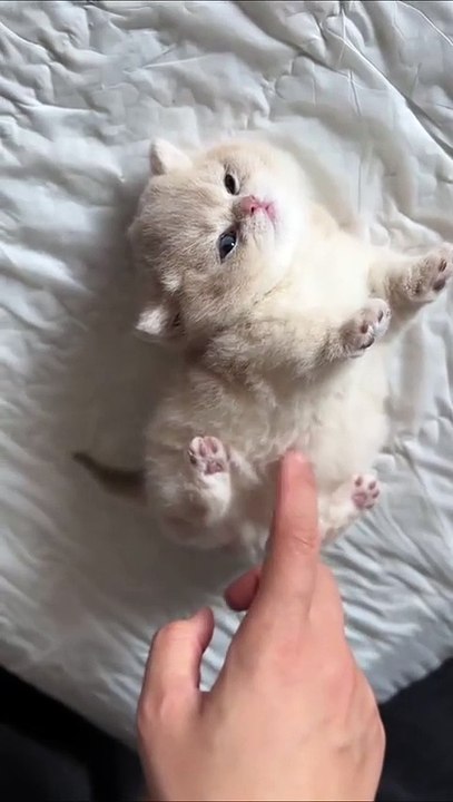 Right now, my number one priority is a comforting hug.