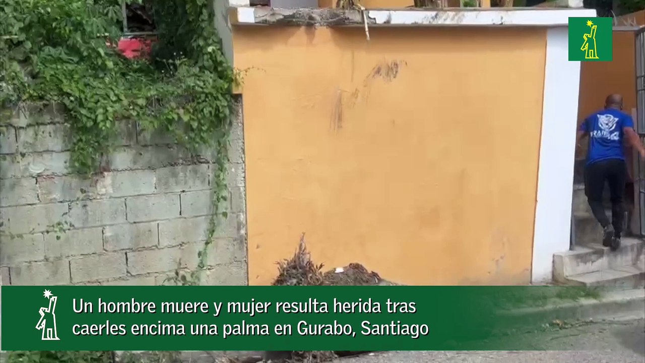 Un hombre muere y mujer resulta herida tras  caerles encima una palma en Gurabo, Santiago