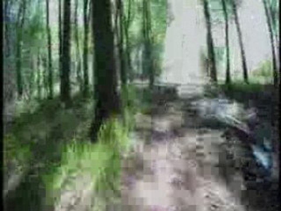 Raismes La forestiere