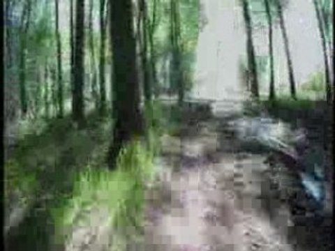 Raismes La forestiere