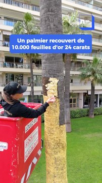 Un palmier recouvert de plus de 10.000 feuilles d’or 24 carats à Cannes