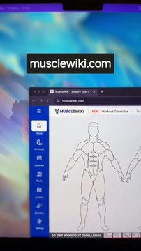 Powerful Websites you should know, generate a custom workout plan #workout #muscle #exercise