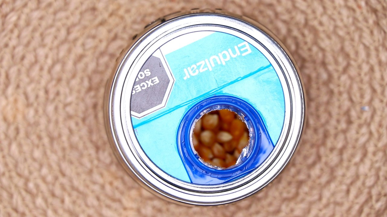 Reutiliza un bote de leche