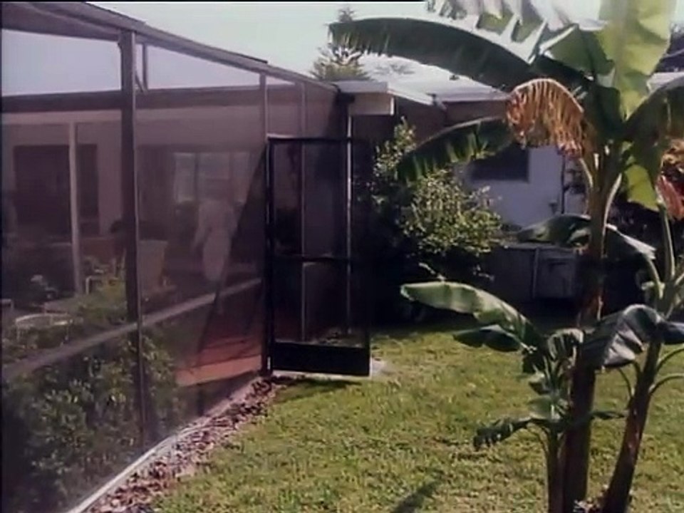 Tvg - Vidéo Dailymotion