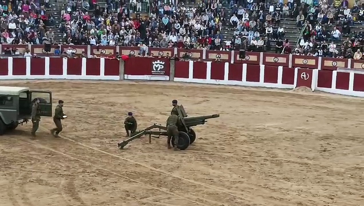 Exhibición de la Guardia Real