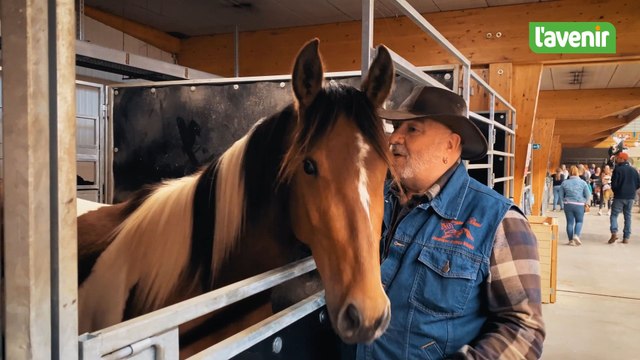 Equi’Feria, le salon-événement consacré au monde équestre à Libramont