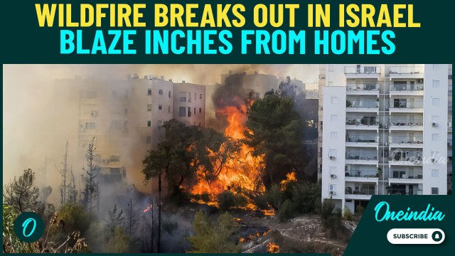 Israel Wildfire BREAKING: Apocalyptic Scenes as Flames Tear Toward Homes, Farms, Malls Near Nazareth