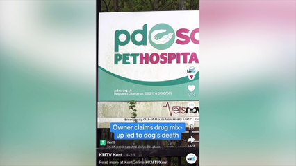 KMTV investigation into dog death goes viral