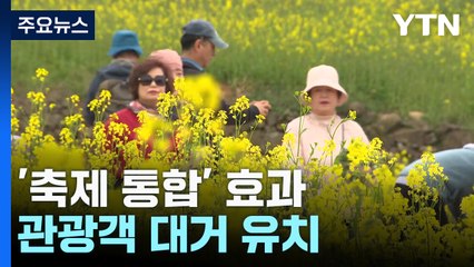 '축제 통합' 효과 톡톡...관광객 대거 유치 / YTN
