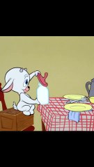 Part 13 #tomandjerry #childhoodaAnimation #thecatandthemouse #cartoon #Droopy