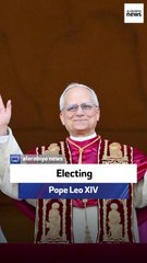 Electing Pope Leo XIV