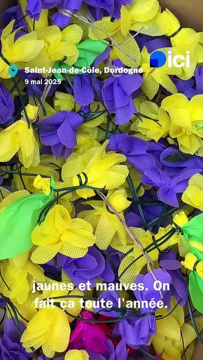 VIDÉO - "Des fleurs par milliers" dans ce village de Dordogne pour la grande foire aux plantes des Floralies