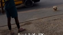 انتظر الإشارة قبل التنفيذ 🚦  ركلة ركنية غريبة من نوعها في شوارع السنغال 😅🇸🇳