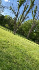 Hi guys it’s a really pretty day outside!!!!