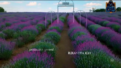 Iubire cu parfum de lavanda Sezon 2 Episodul 17 din 9 Mai 2025 Online Gratis pe Internet, Antena Play Gratis
