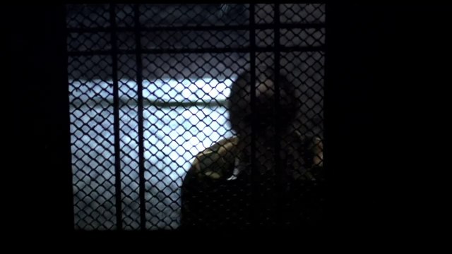 Ночной Дозор (фильм) сцена с сумраком, сыном, комарами