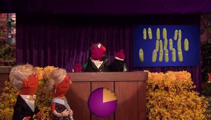 Sesame Street's Elmo & Friends Celebrate Count von Count as The World's Greatest Counter! 🎉