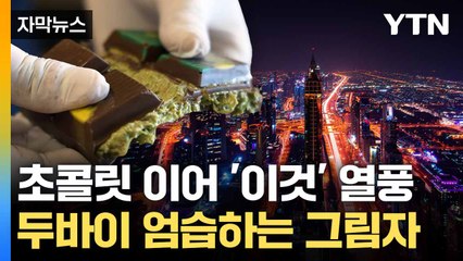 [자막뉴스] 두바이는 정말 '기회의 땅'일까...도사리는 위험에 '빨간불' / YTN