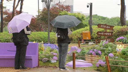 [날씨] 주말, 흐리고 쌀쌀...다양한 행사 열린 도심 공원 / YTN