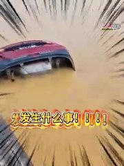 渡轮事故惊险一幕：妇女误踩D档，车与人一同坠河🚗💦