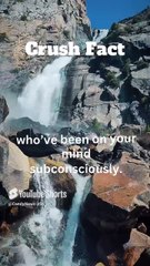 Why You Think the Way You Do#MindBlown #HumanMind #BrainHacks #DidYouKnow #MentalTruths #ViralFacts