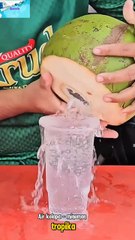 Fakta Menarik Tentang Air KelapaFakta Menarik Tentang Air Kelapa